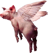 Pig-200-ANI
